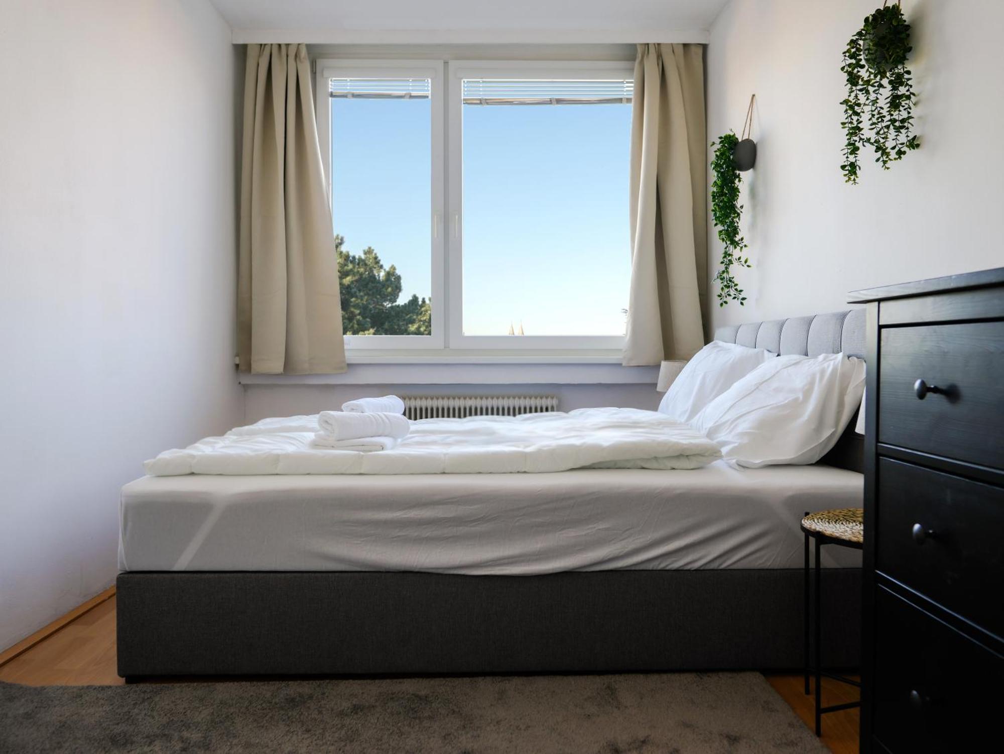 Spacious Apartments With View & Free Parking วีเนอร์นอยชตัดท์ ภายนอก รูปภาพ