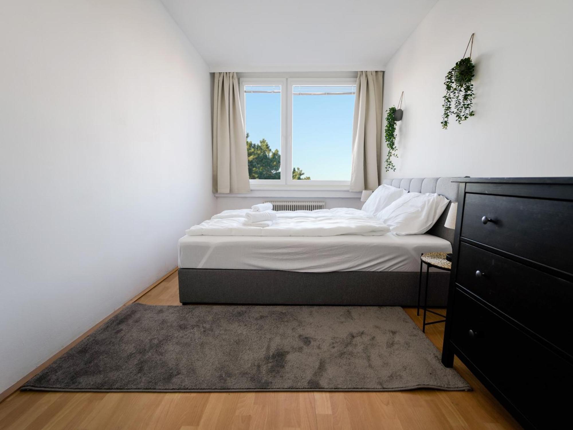 Spacious Apartments With View & Free Parking วีเนอร์นอยชตัดท์ ภายนอก รูปภาพ