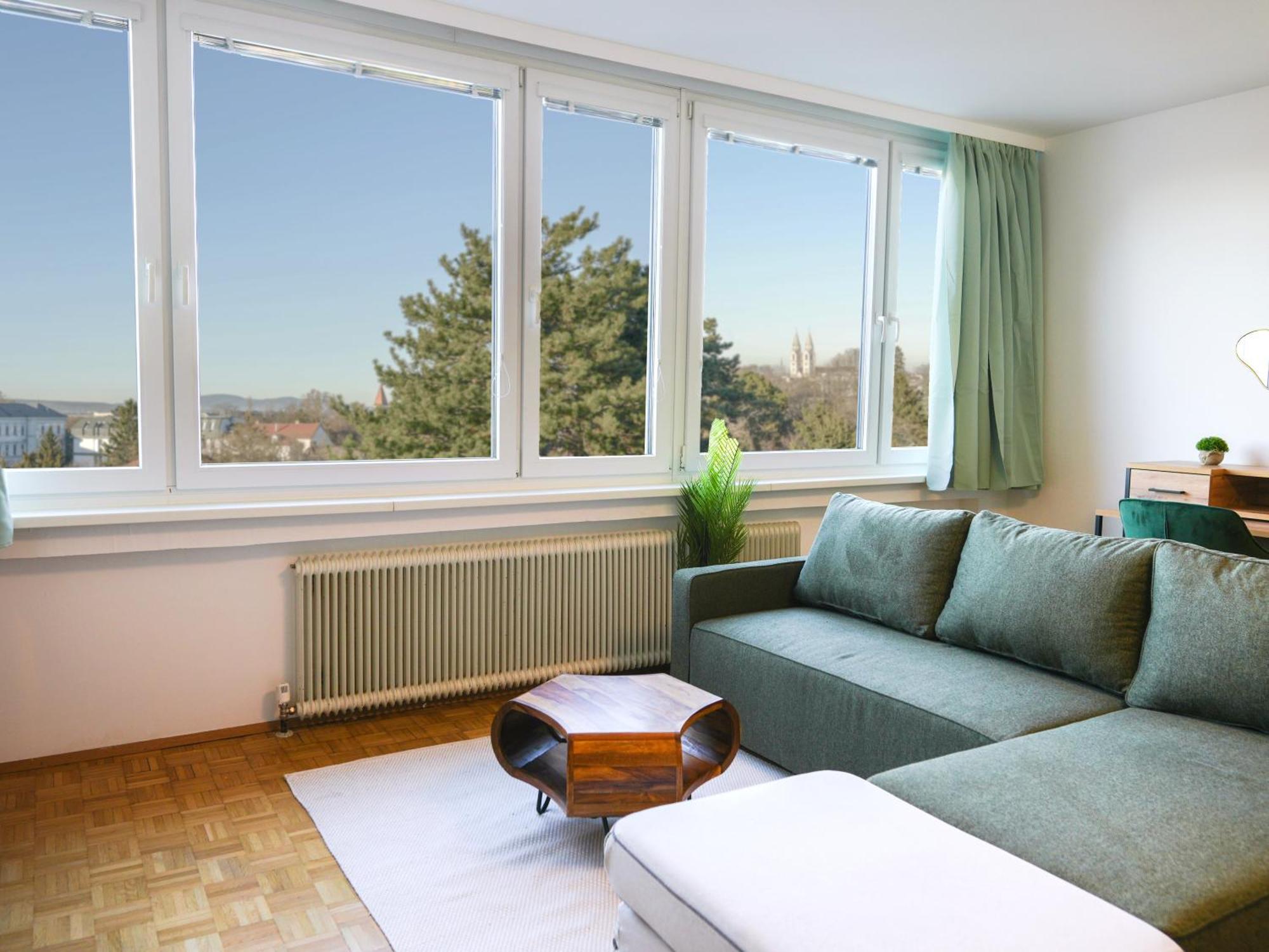 Spacious Apartments With View & Free Parking วีเนอร์นอยชตัดท์ ภายนอก รูปภาพ